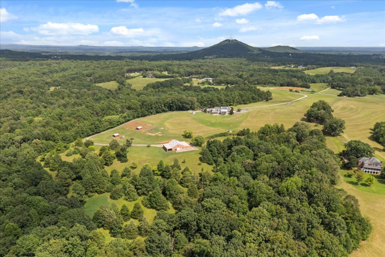 The Castle on the Hill in the Blueridge Foothills - photo 30