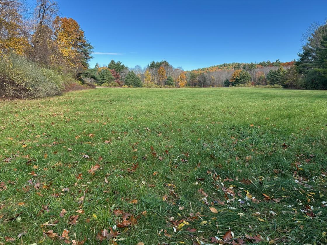 Rare Opportunity on 9.5 Acres - photo 1