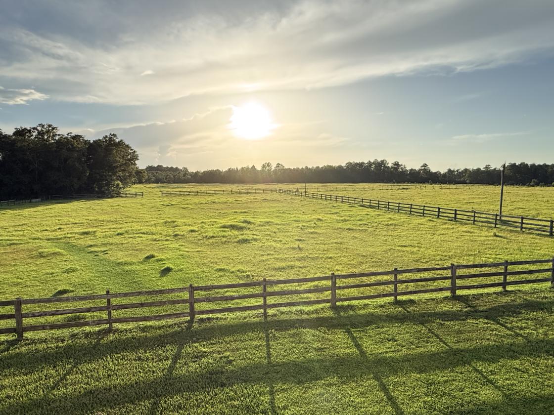 15 Acres Pasture|Cross-Fenced|Horse-Livestock-Crop - photo 1