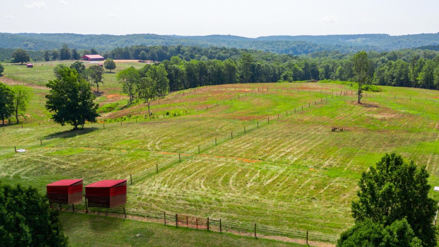 Where Equestrian Dreams Meet Reality - photo 13