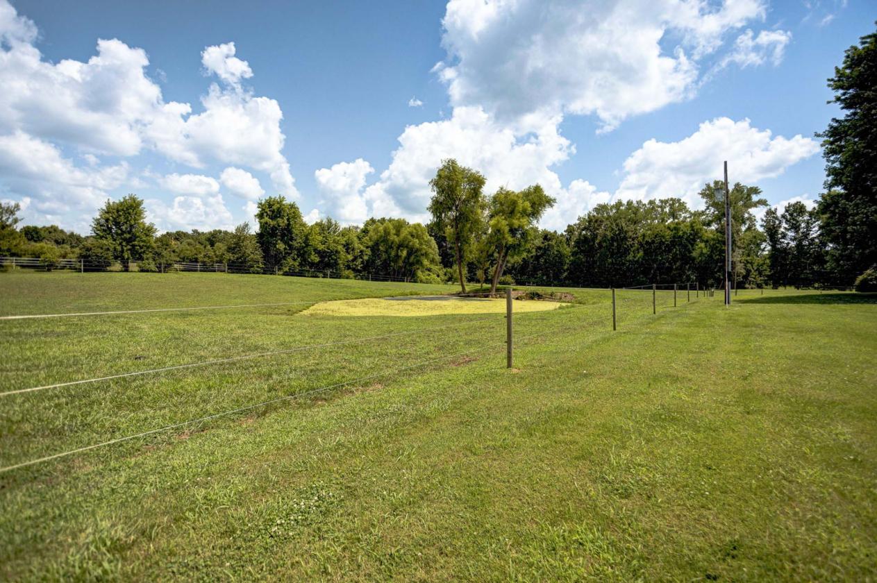 One-of-a-Kind Horse Property - photo 18