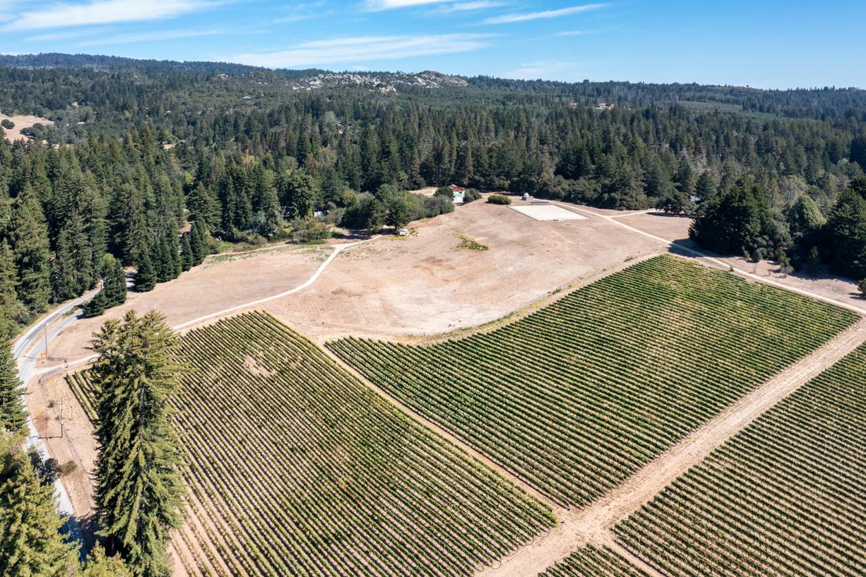 Santa Cruz Equestrian & Vineyard Property - photo 20