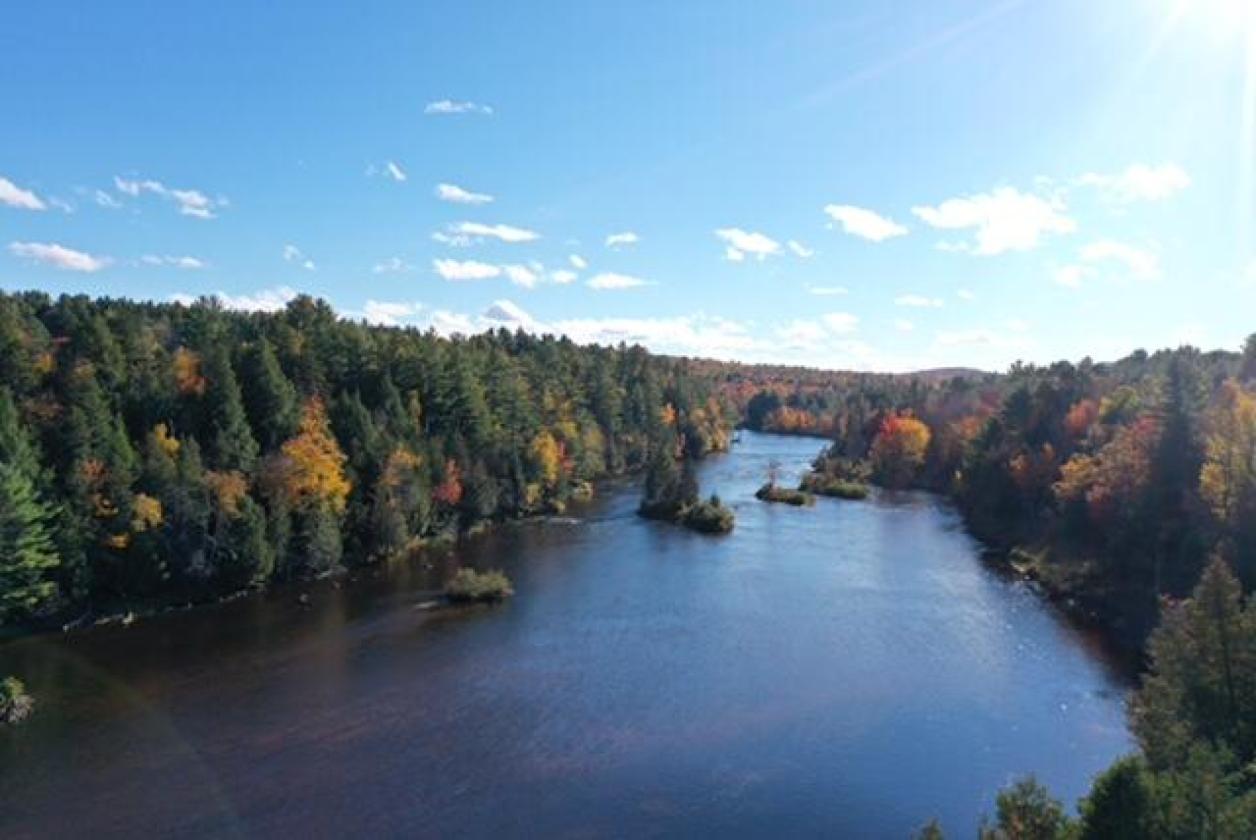 55 Ac. Horse Property Including a Private Island - photo 27