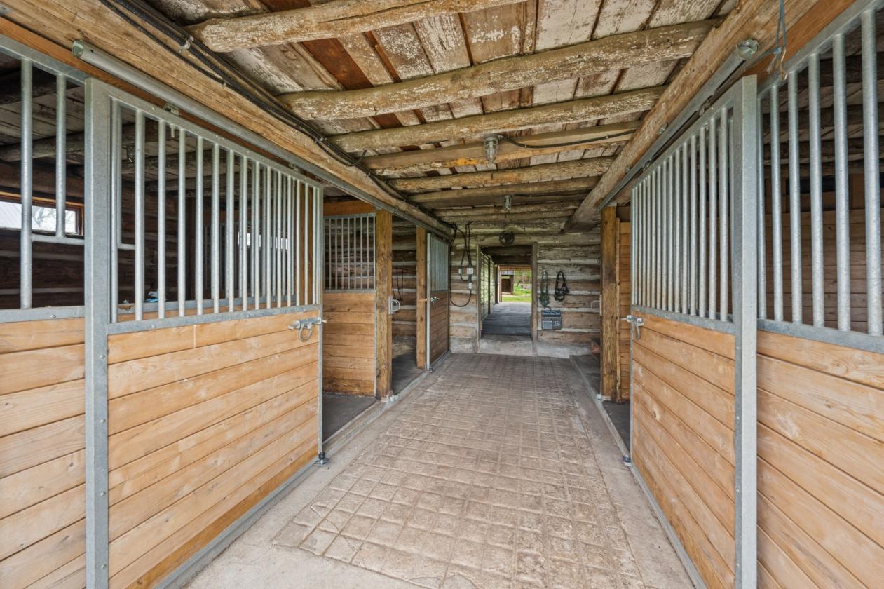 Turnkey equestrian farm w/renovated house/barns! - photo 27