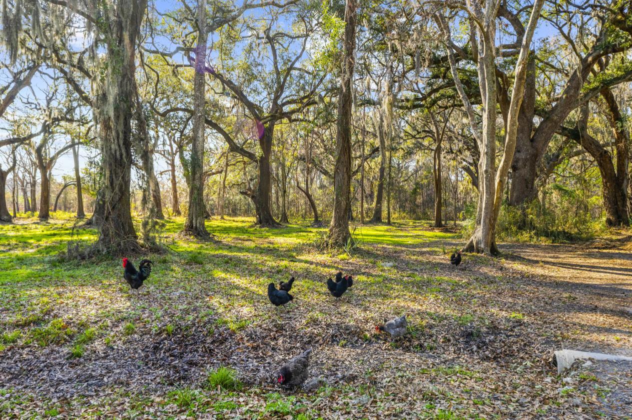 Dream Horse Property on Almost 16 Stunning Acres - photo 9