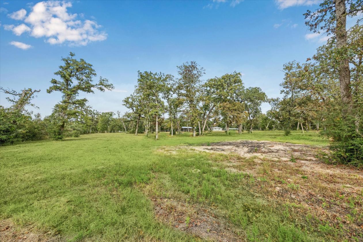 Beautiful Horse Barn on 5.2 Acres - photo 7
