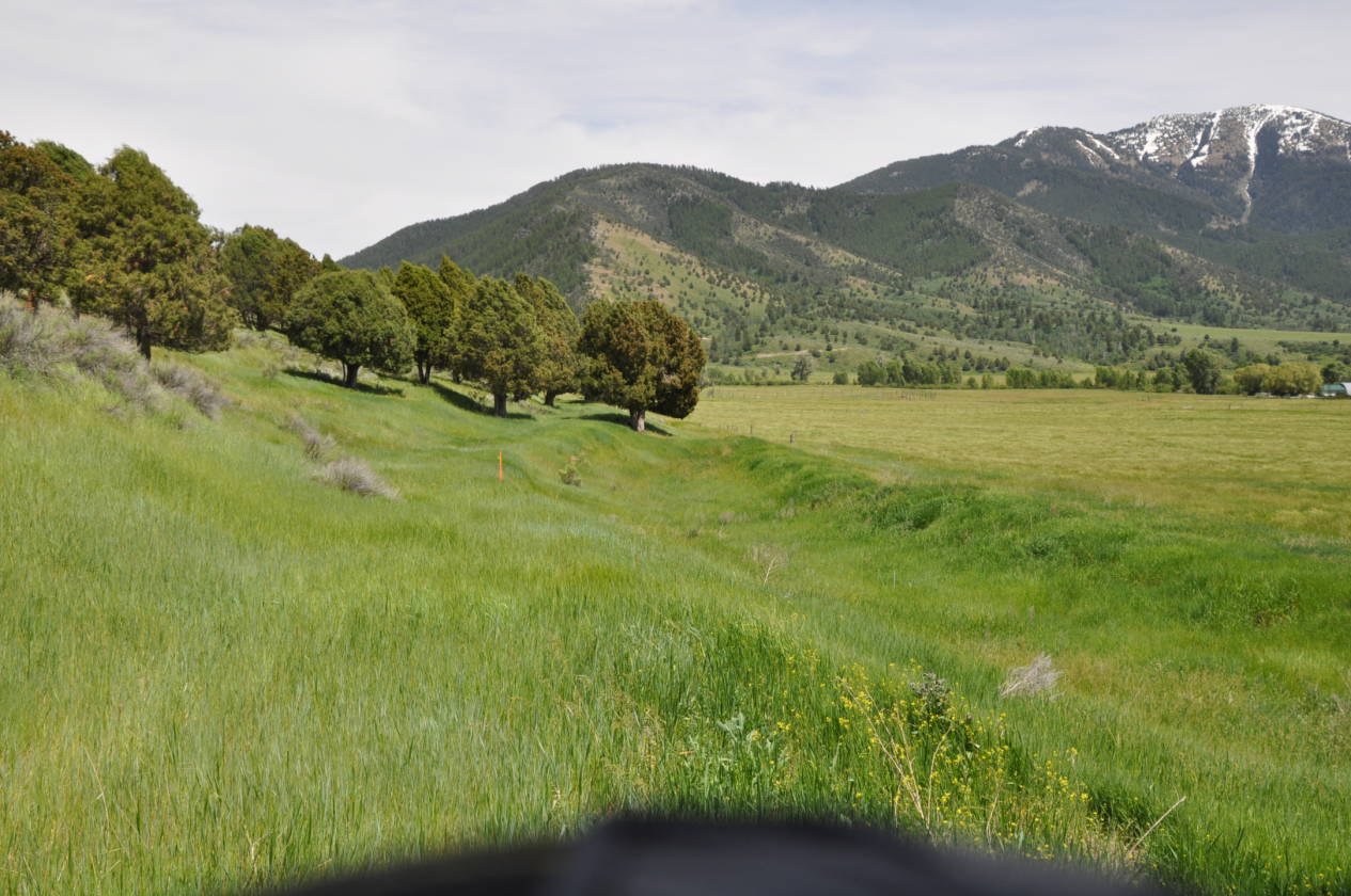 Beautiful location for your dream horse property Swan Valley