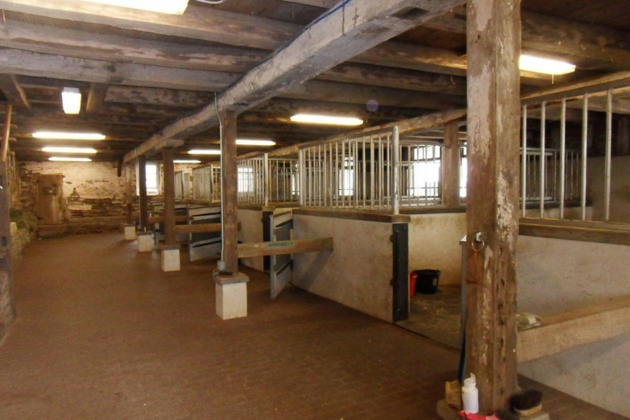 Expansive 58-Acre Property with Stable & Arena - photo 26