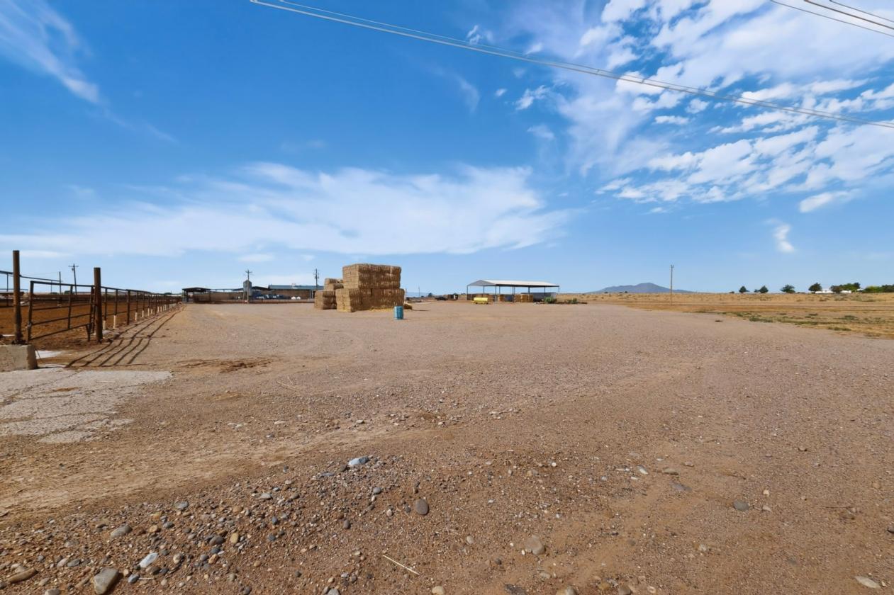 Horse Property/Dairy on 303 Acres - photo 19