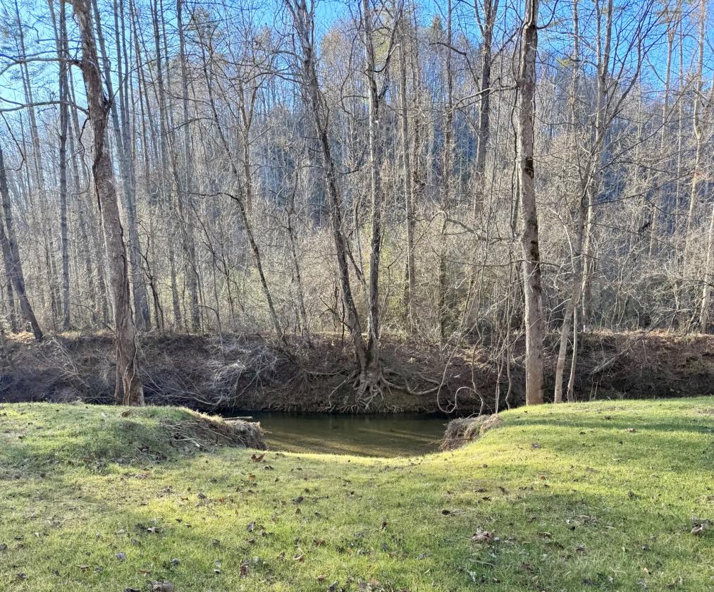 Riverfront- 12 ac at The Coves Mtn RIver Club - photo 8
