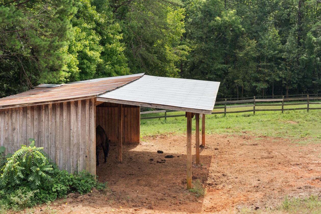 Turnkey Equestrian Farm with Arena & Barn - photo 30