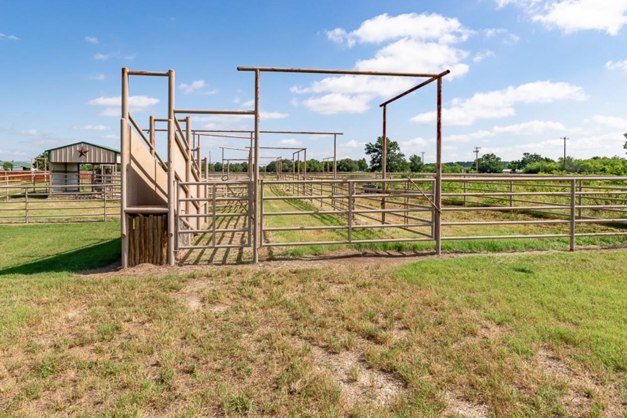 117.5 Acre Horse & Cattle & Rec. Property - photo 13