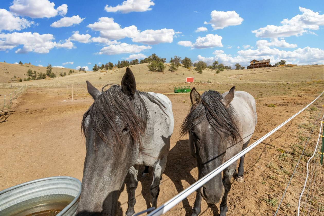 360 Degree Mountain Views for your Horses! - photo 31