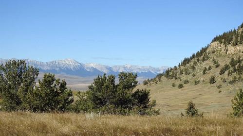 Property image.