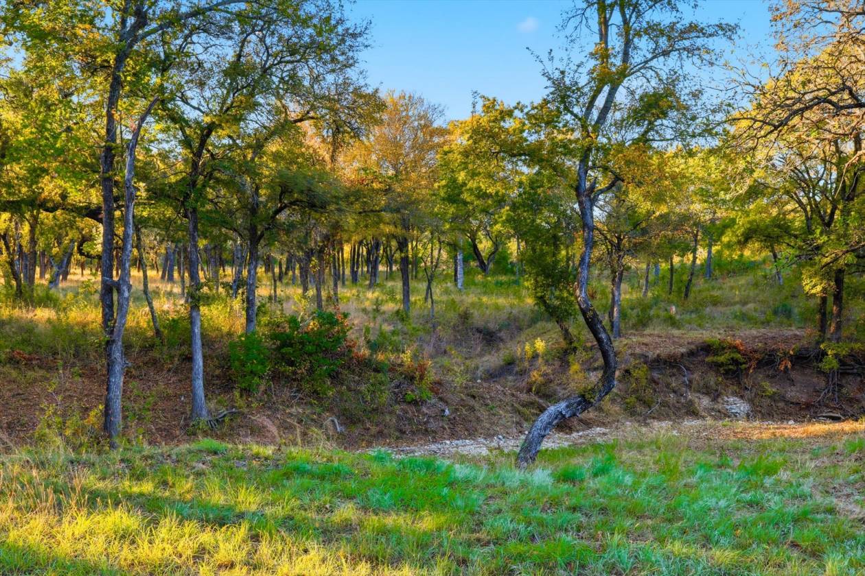40 Acre Ranchette Near Bluejack Ranch in Aledo ISD - photo 17