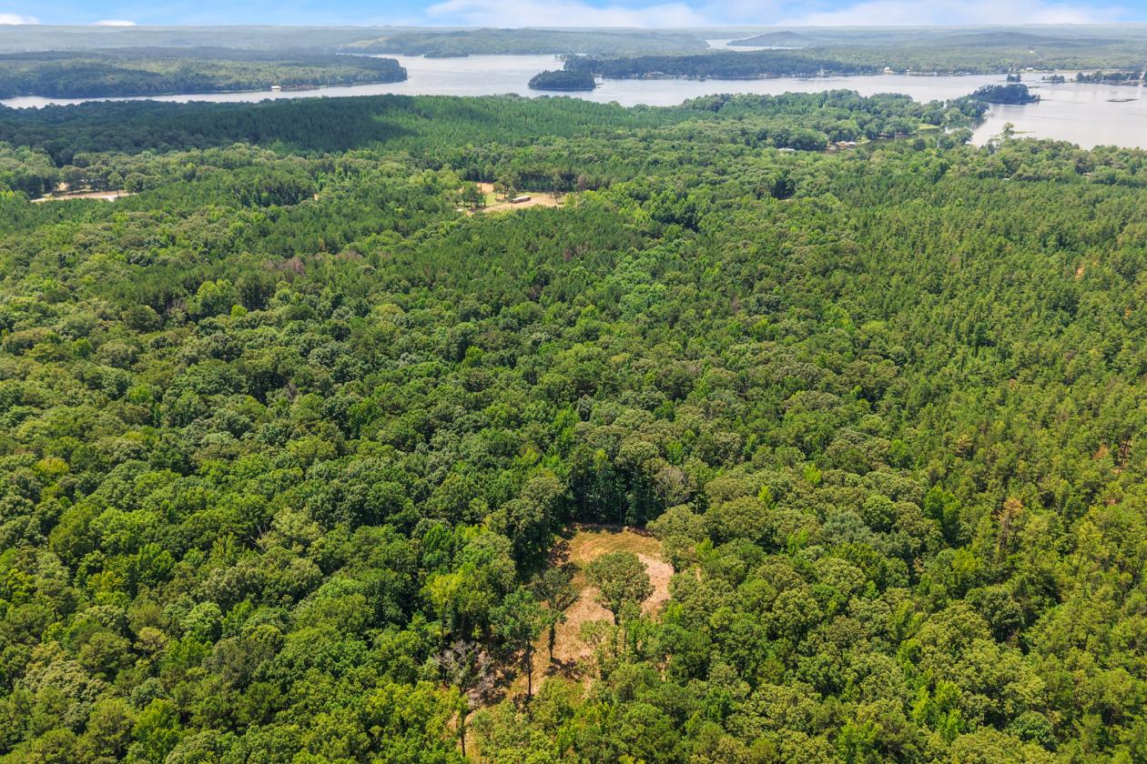 89.99 acre horse farm with lighted arena & more - photo 9