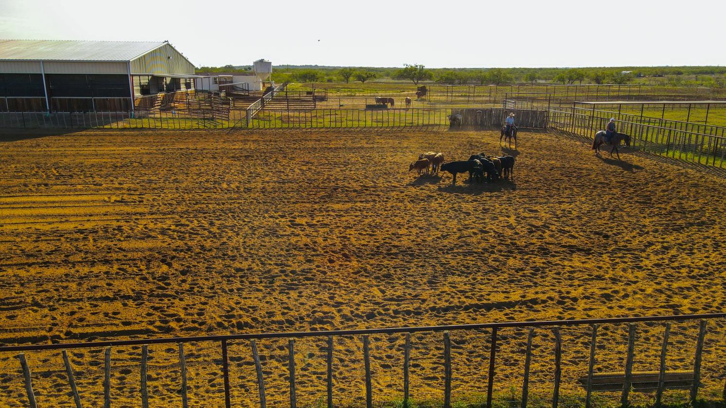 Premiere Cutting Horse Facility in Taylor County - photo 23