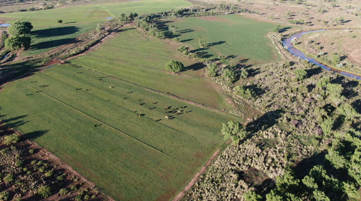 Pecos Valley Ranch - photo 8