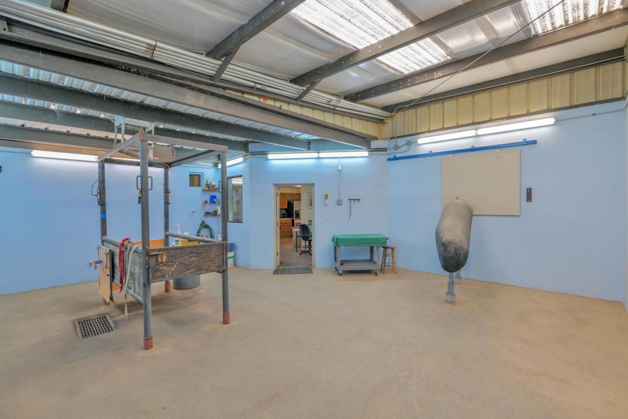 Equine Breeding, Training and Therapy Facility - photo 22