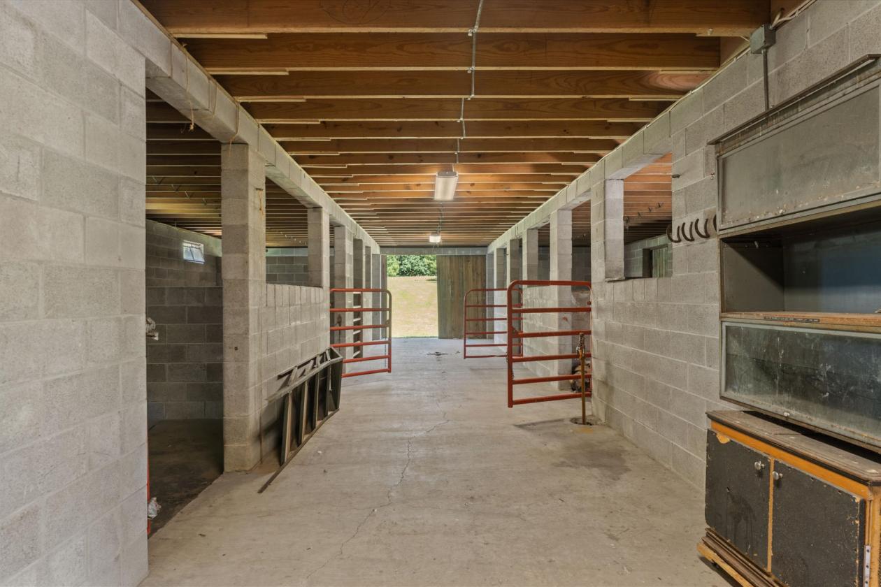 Luxury equestrian living on over 51 acres - photo 16