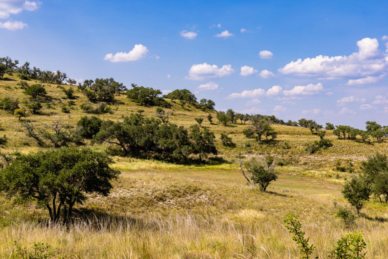 Grand View Ranch - photo 28