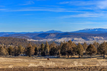 crook county oregon property searchy crook county oregon property searchy