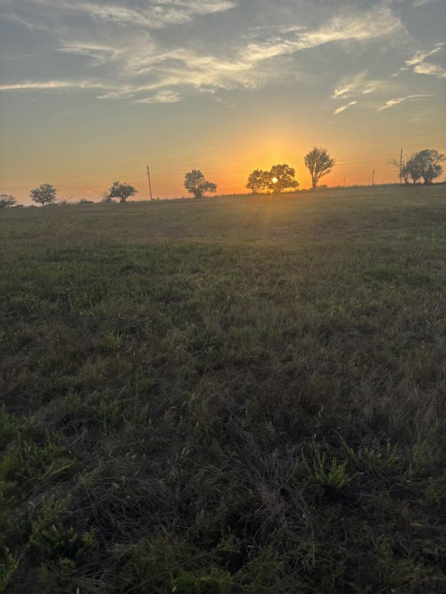 Horse Property Dream - photo 15