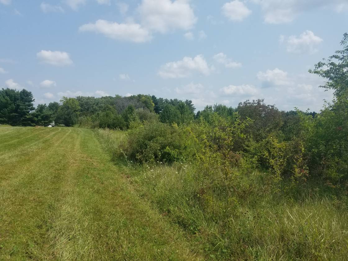 Horse Property for sale.