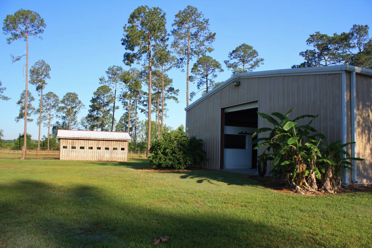 Horse Property for Sale in South Waycross, Ware County