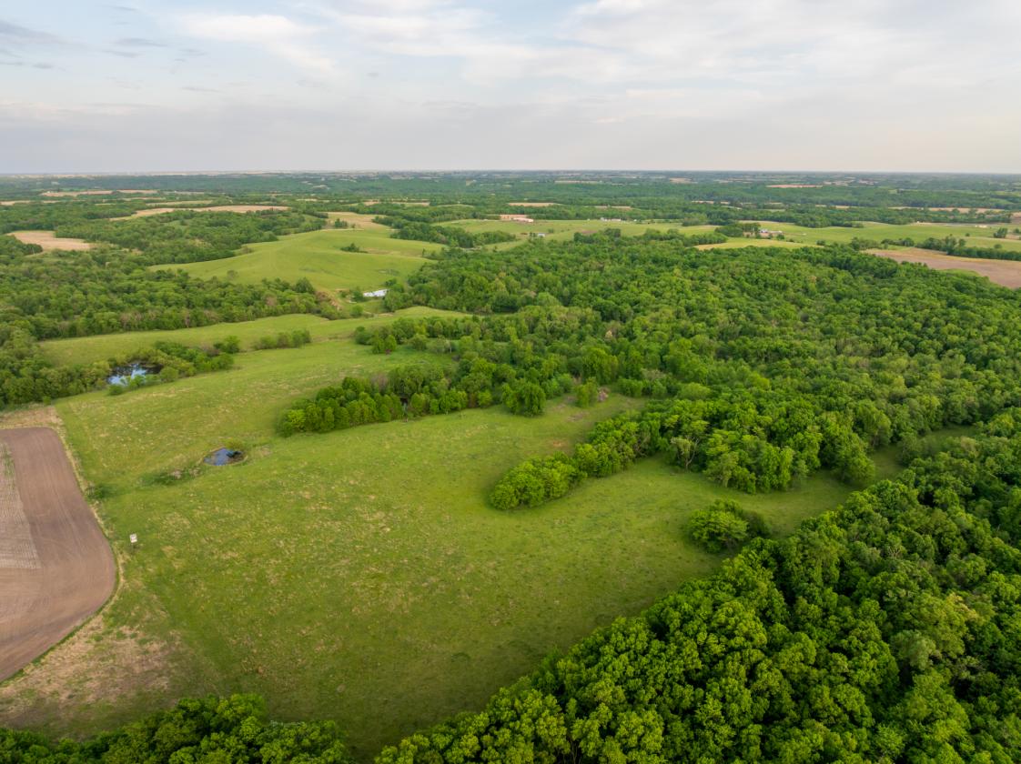 273.5 +/- Acre Turn-Key Cattle and Horse Property - photo 15