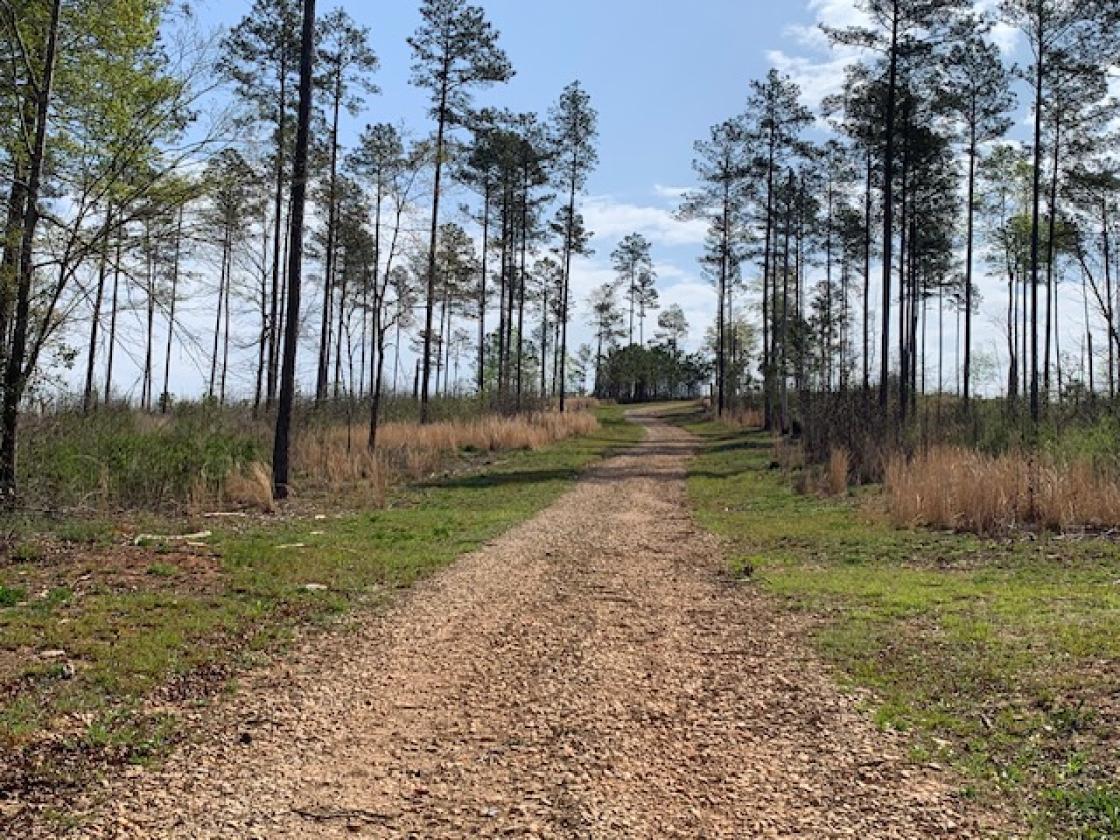 Madison County - Large Estate Farm - photo 23