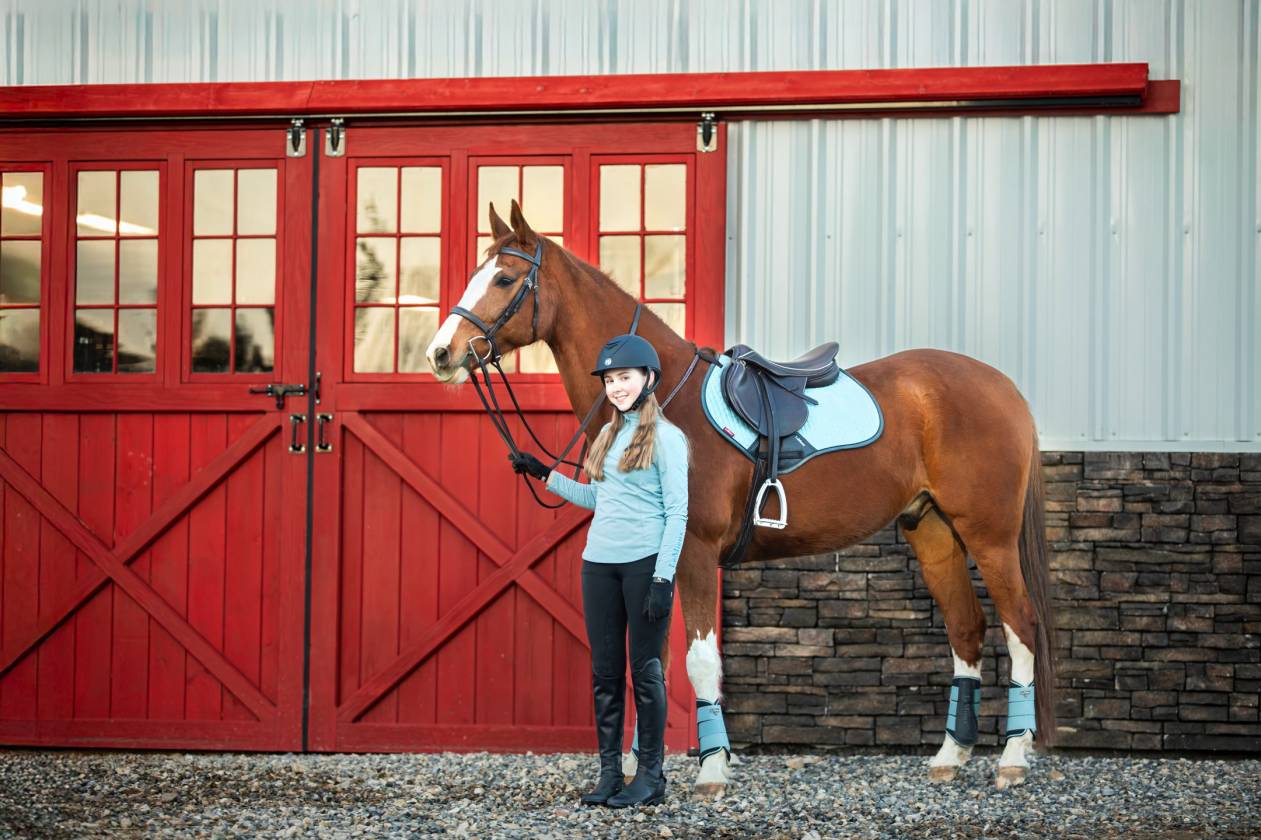 Horse Property for sale.