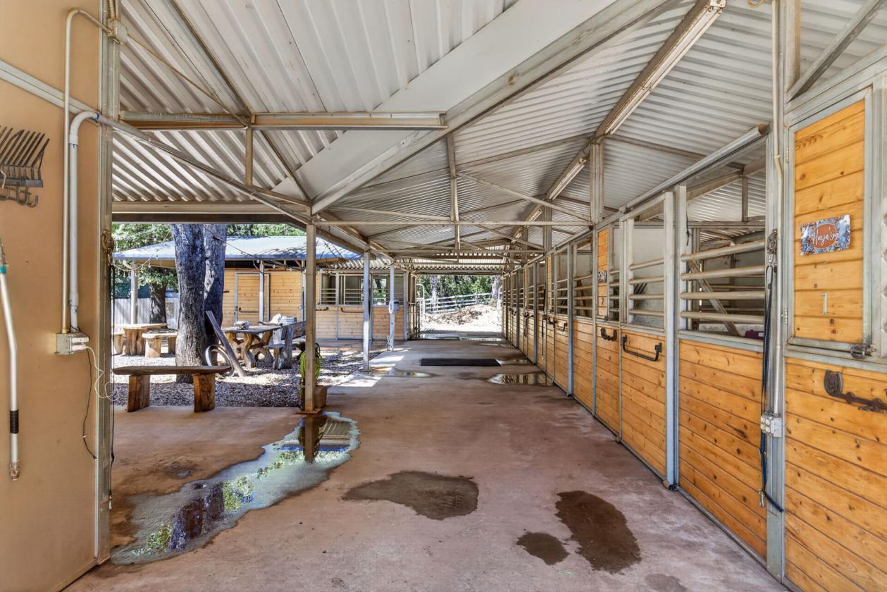 The Equestrian Lifestyle You've Been Waiting For - photo 11