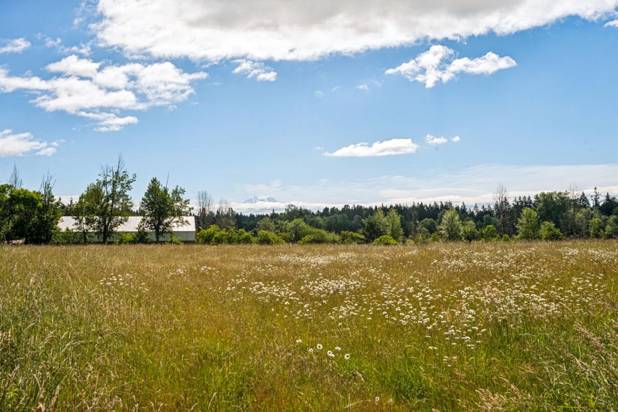 14.77 Acres with Mount Rainier Views - photo 12