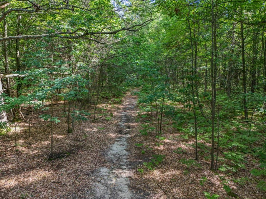 82 acres with 2,800 public land attached! - photo 29