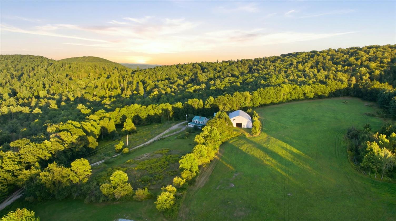 Maine Horse Farm - photo 3