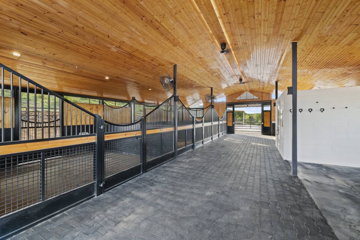 Luxury Texas Hill Country Equestrian Estate - photo 6