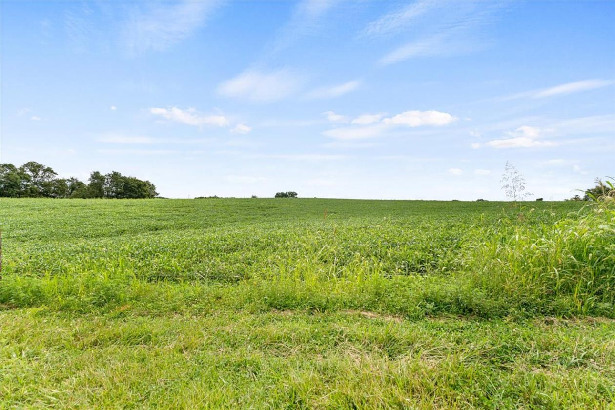 Over 173 acres for your equestrian dreams - photo 14