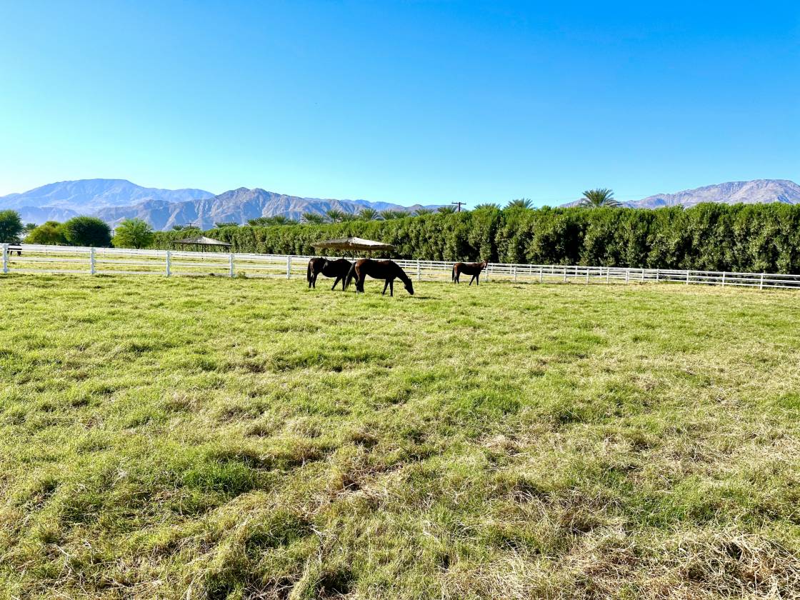 Horse Property for sale.