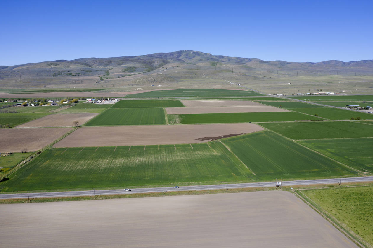Farm and or Development Acreage for Sale Garland, Box Elder County