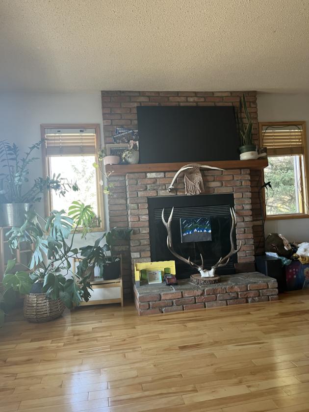 Horse Property in the heart of the Rockys - photo 8