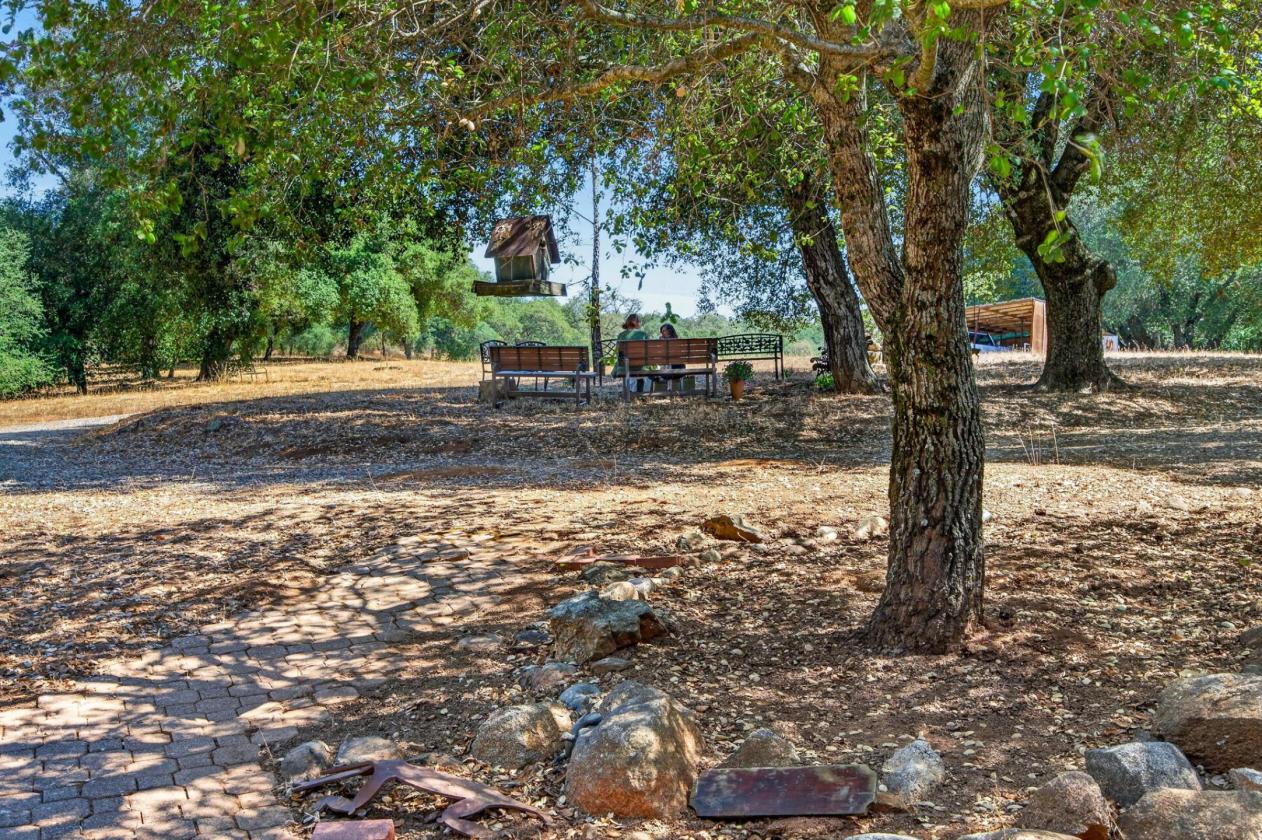 Meadow Ranch - photo 15