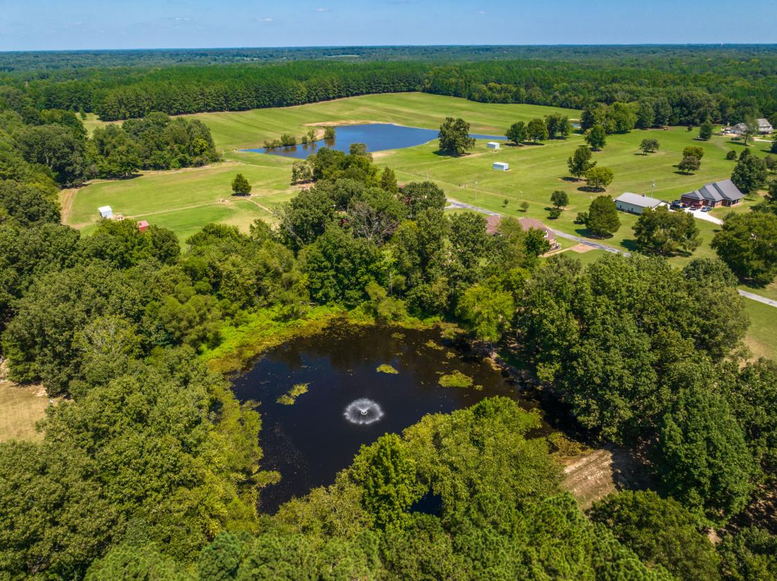 Manicured Equestrian Estate on 65 Acres - photo 4