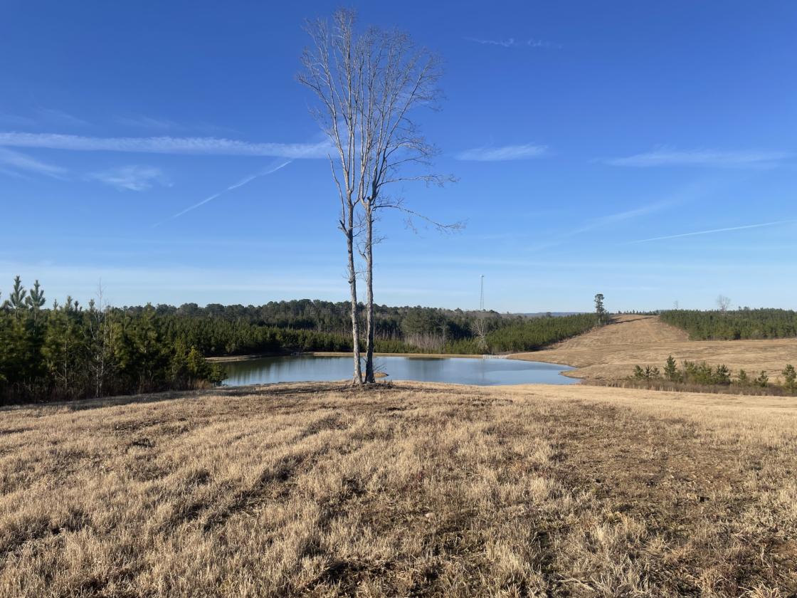160 Acres in Shelby County w/ pastures and lake - photo 22