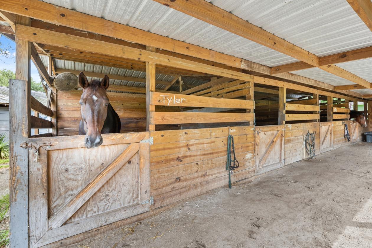For the Horse Professional - 21 stalls/arena/pool - photo 12