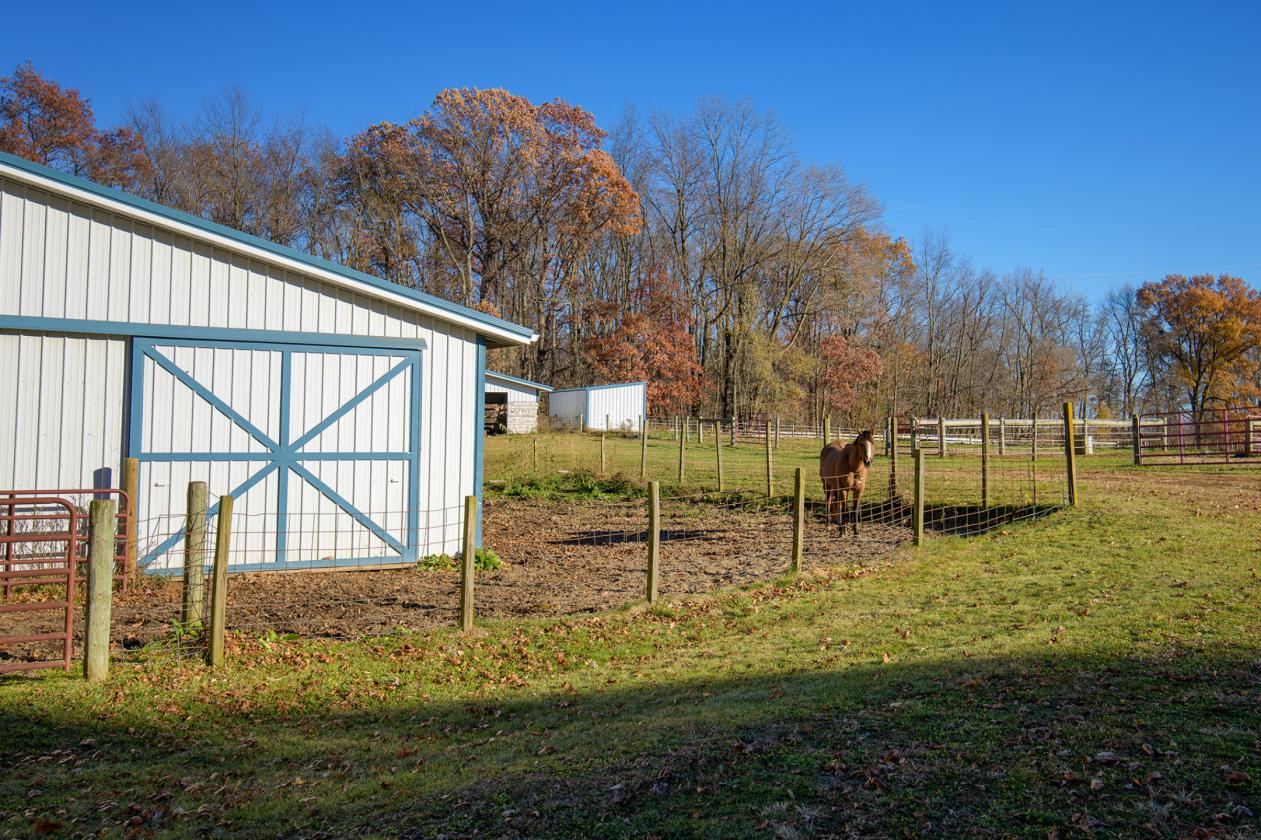 EQUESTRIAN READY-NW INDIANA-CLOSE TO LAKE MICHIGAN - photo 9