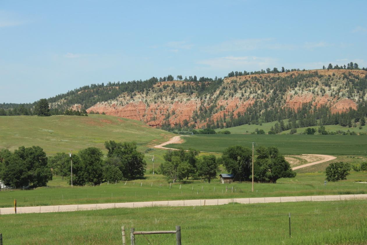 MOVE IN READY, 24+ ACRES, FULLY FENCED - photo 9