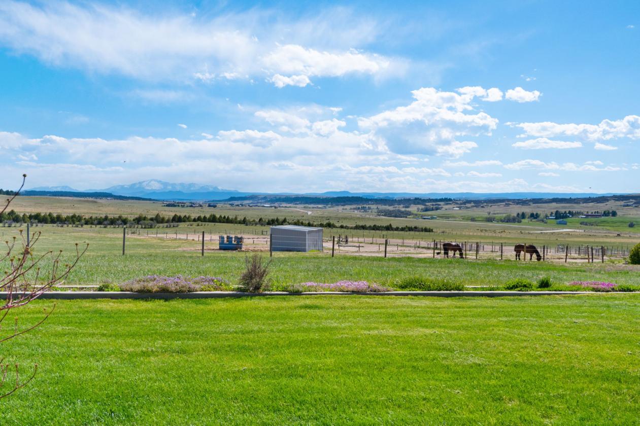 36 Breathtaking Acres w/ 15 Stalls & 3 Arenas - photo 12
