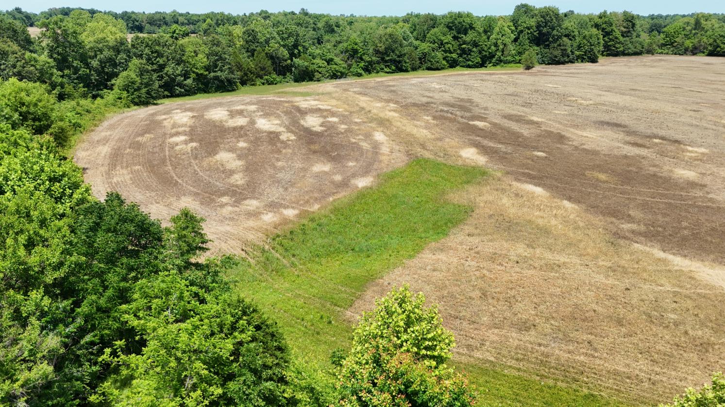 Large Farm Property With Water And Electric Onsite - photo 22