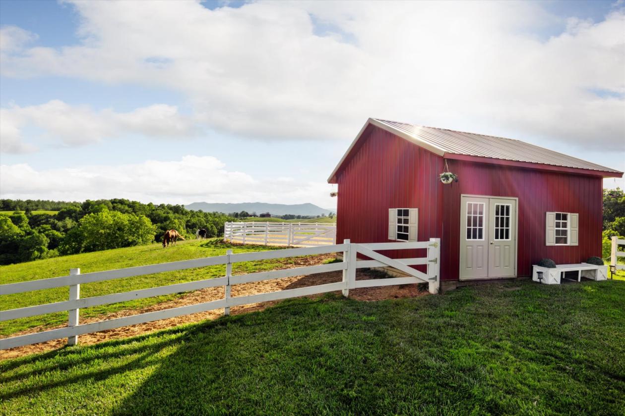Exceptional Horse Property on 19 Acres - photo 4